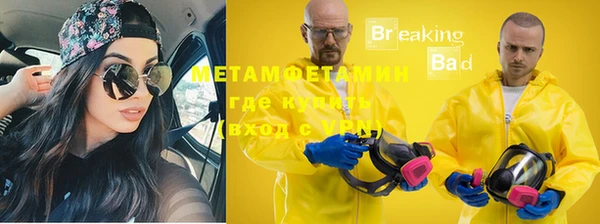 сатива Беломорск