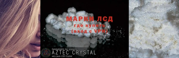 сатива Беломорск