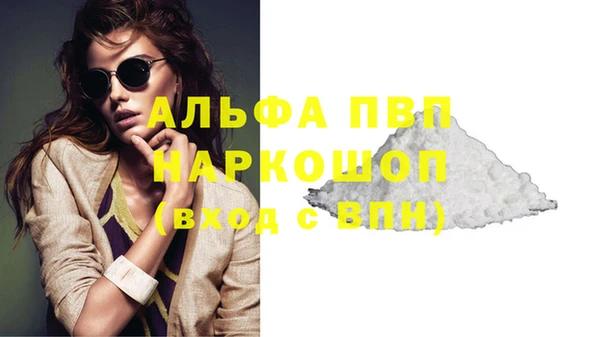 сатива Беломорск