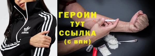 сатива Беломорск