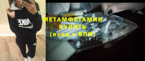 сатива Беломорск