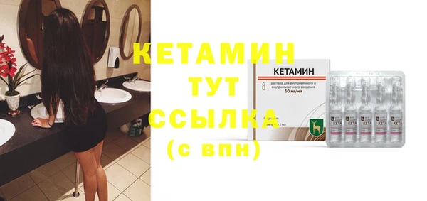 сатива Беломорск