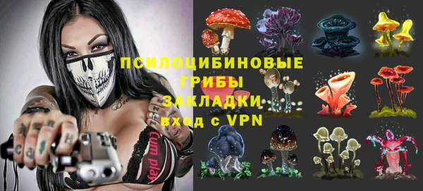 кокаин Белокуриха