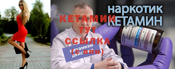 сатива Беломорск